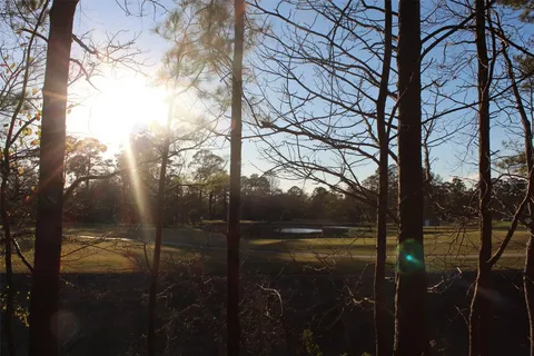 $110,000 | Lot 10 Fairway Oaks, Conroe, TX 77302