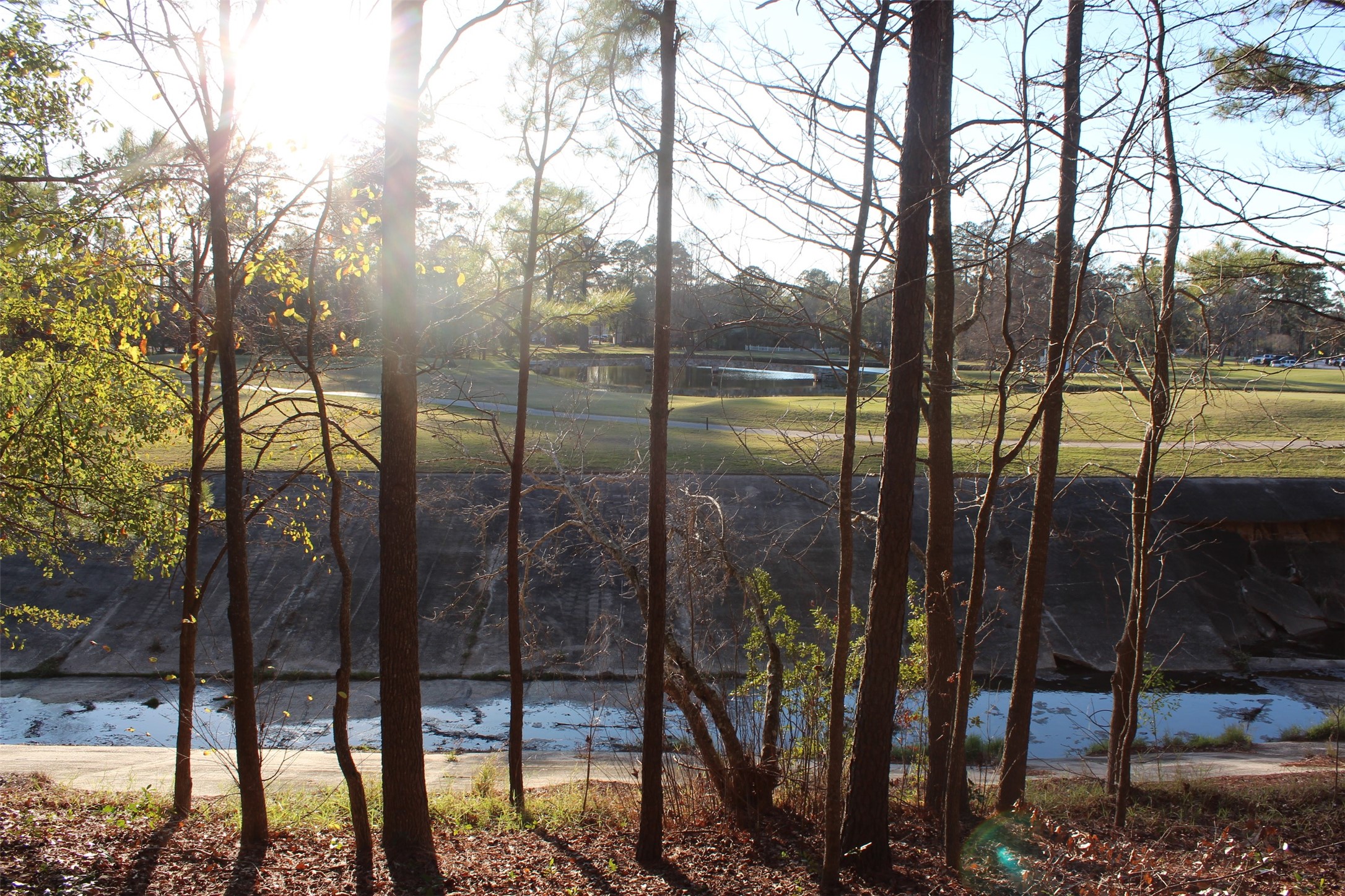 Lot 10 Fairway Oaks Conroe, TX 77302 - Photo 13 of 20 a view of outdoor space with street view