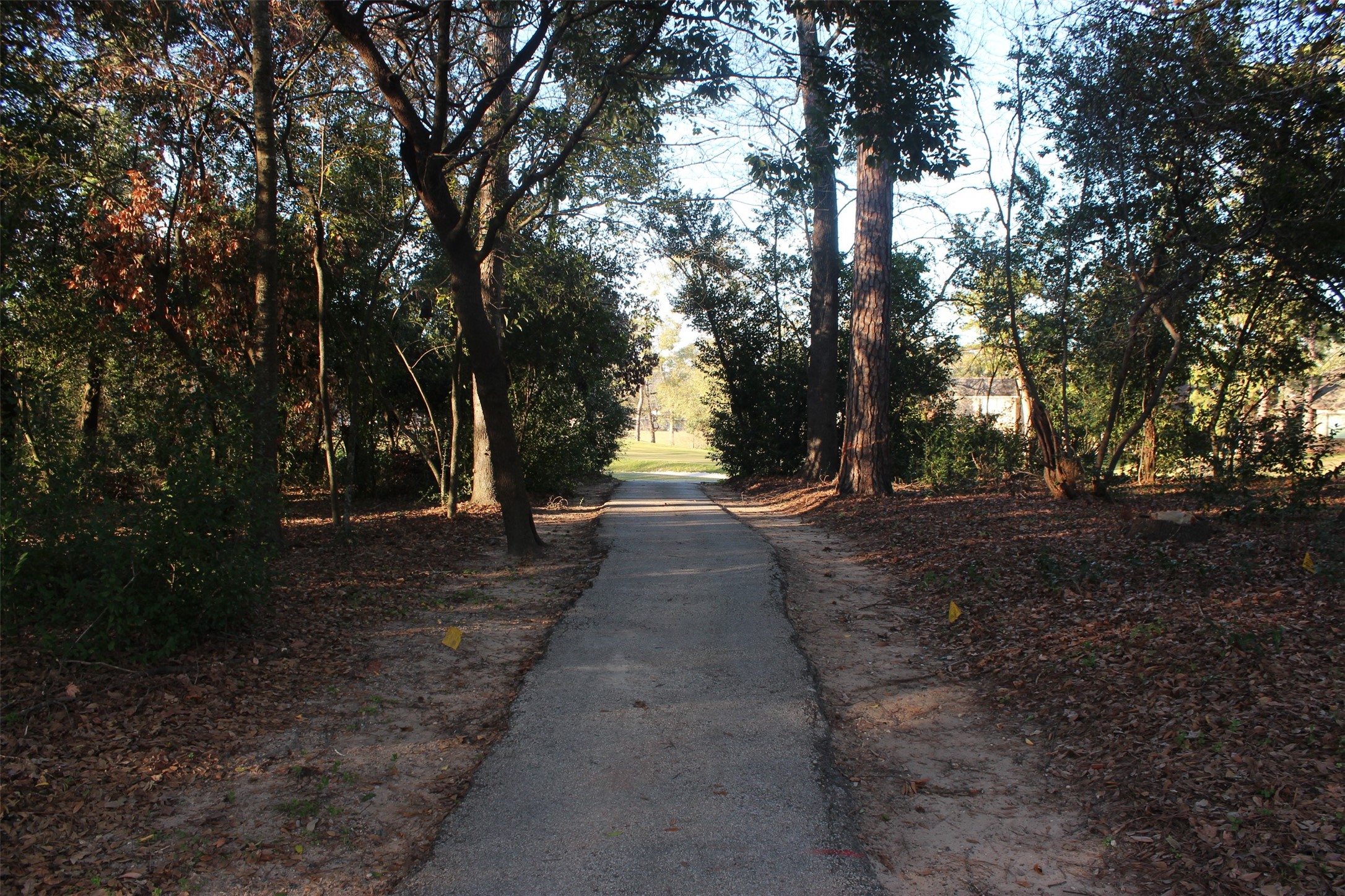 Lot 10 Fairway Oaks Conroe, TX 77302 - Photo 14 of 20 a view of park with trees