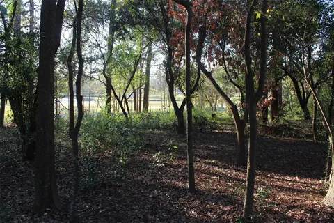 $110,000 | Lot 10 Fairway Oaks, Conroe, TX 77302