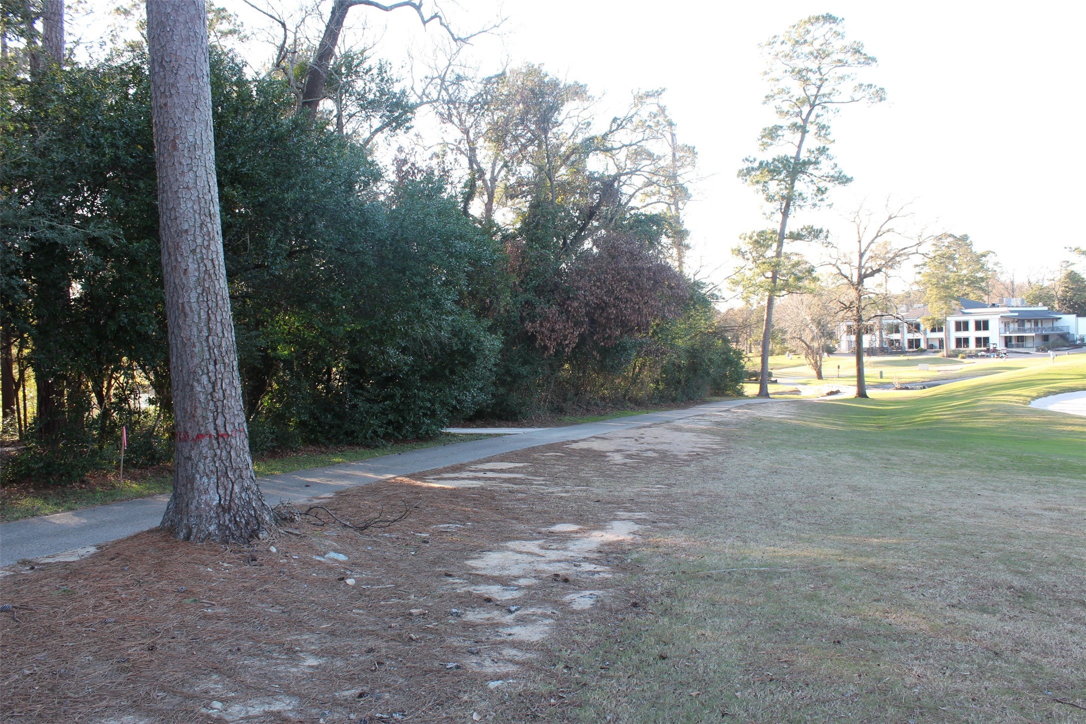Lot 10 Fairway Oaks Conroe, TX 77302 - Photo 5 of 20 a view of a forest with trees
