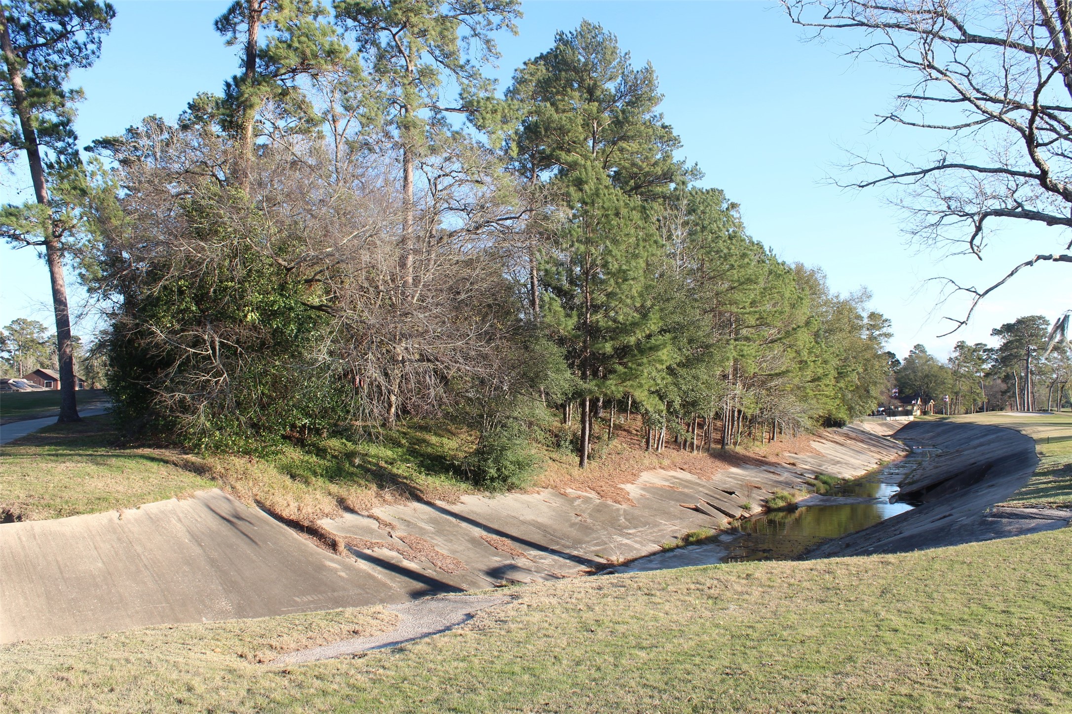 Lot 10 Fairway Oaks Conroe, TX 77302 - Photo 7 of 20 a view of a yard with large trees