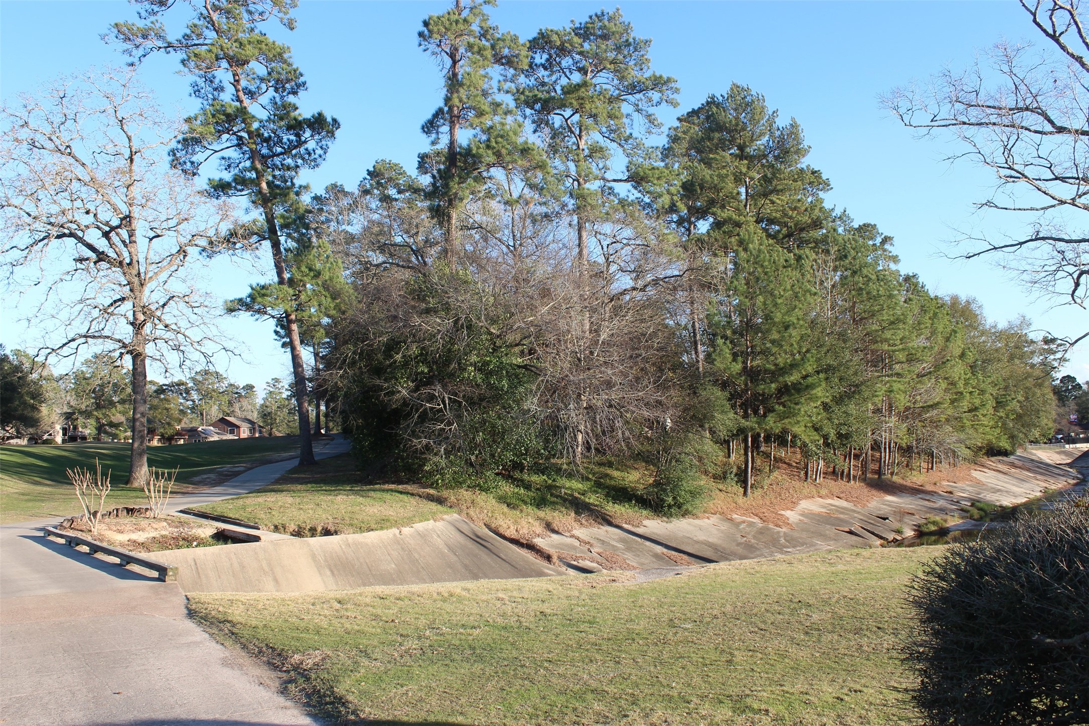 Lot 10 Fairway Oaks Conroe, TX 77302 - Photo 8 of 20