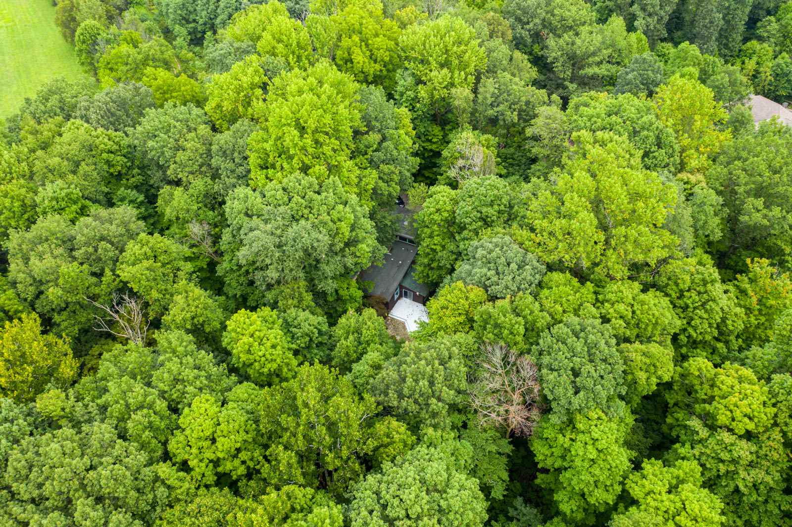 21340 Kern Road South Bend, IN 46614 - Photo 35 of 36 Gallery Image 35