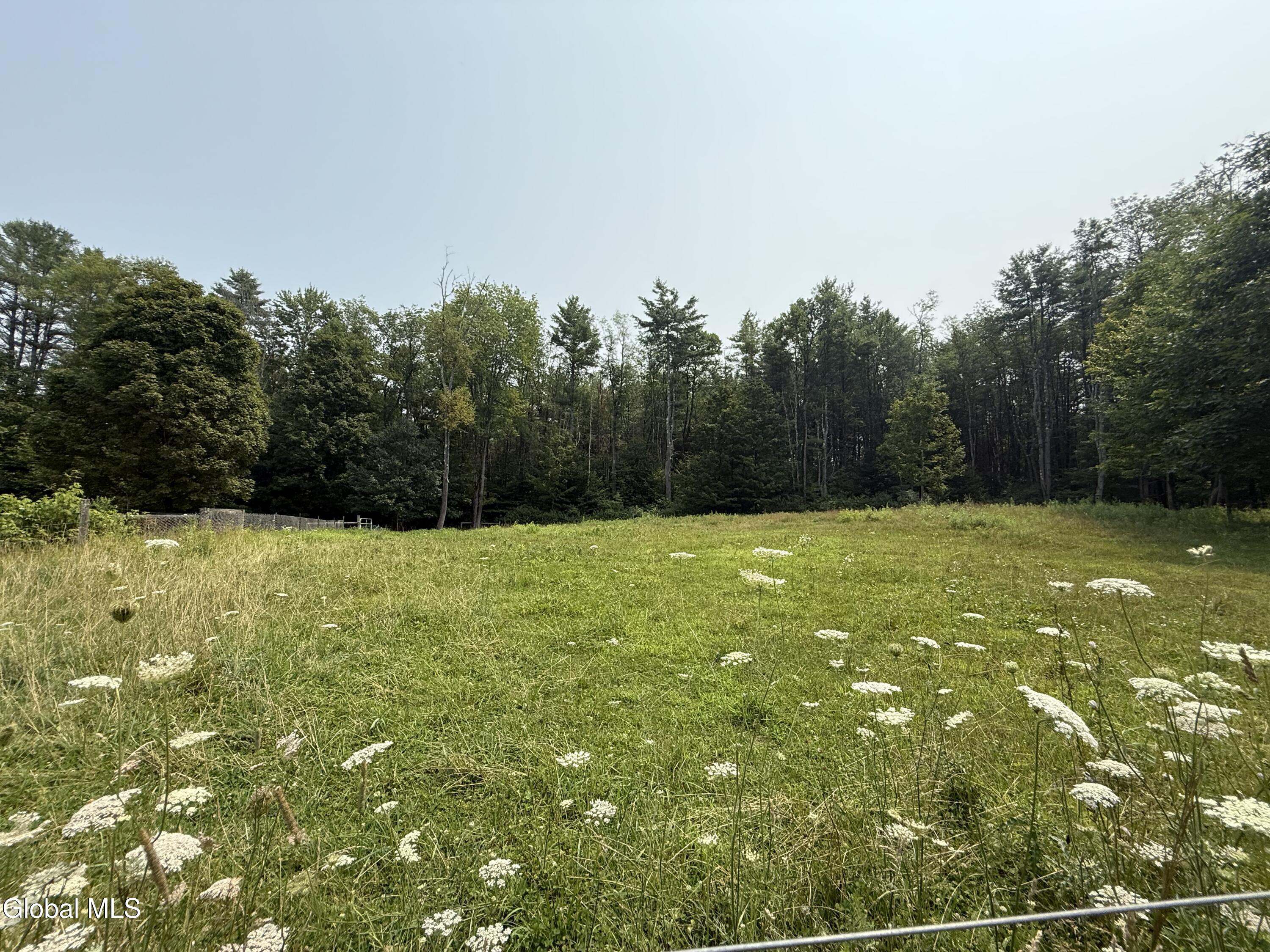 450 South Line Road Galway, NY 12074 - Photo 11 of 40 IMG_2827