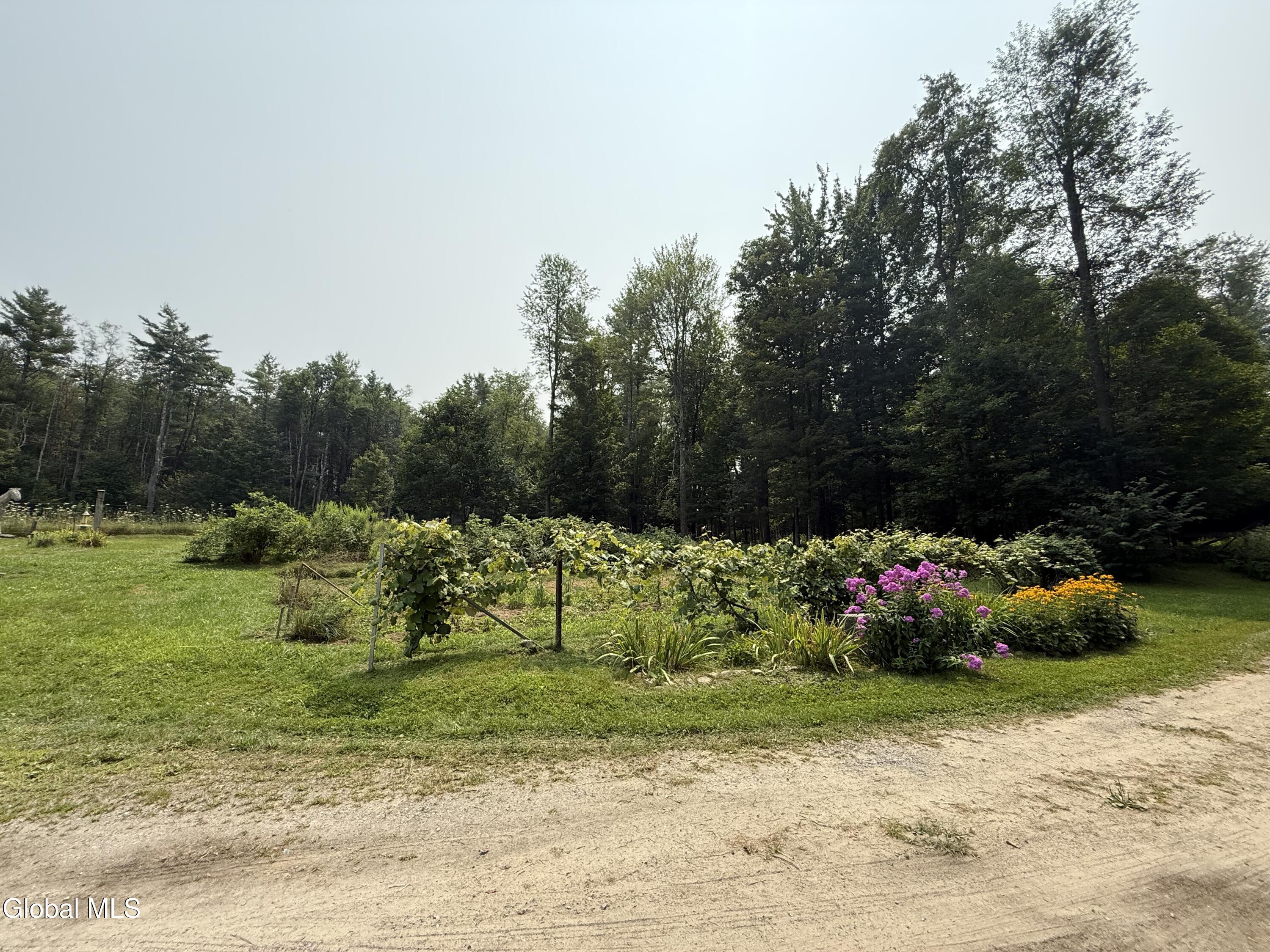 450 South Line Road Galway, NY 12074 - Photo 13 of 40 IMG_2825