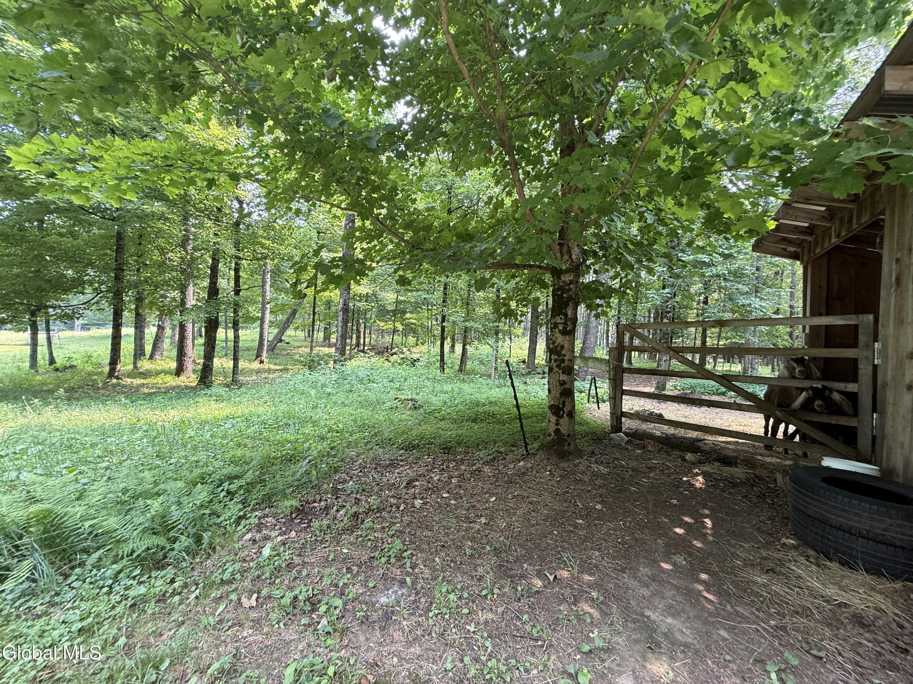 450 South Line Road Galway, NY 12074 - Photo 8 of 40 IMG_2847