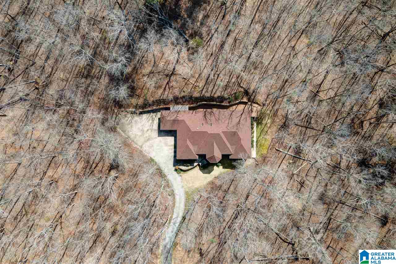 195 Heritage Road Oneonta, AL 35121 - Photo 3 of 50