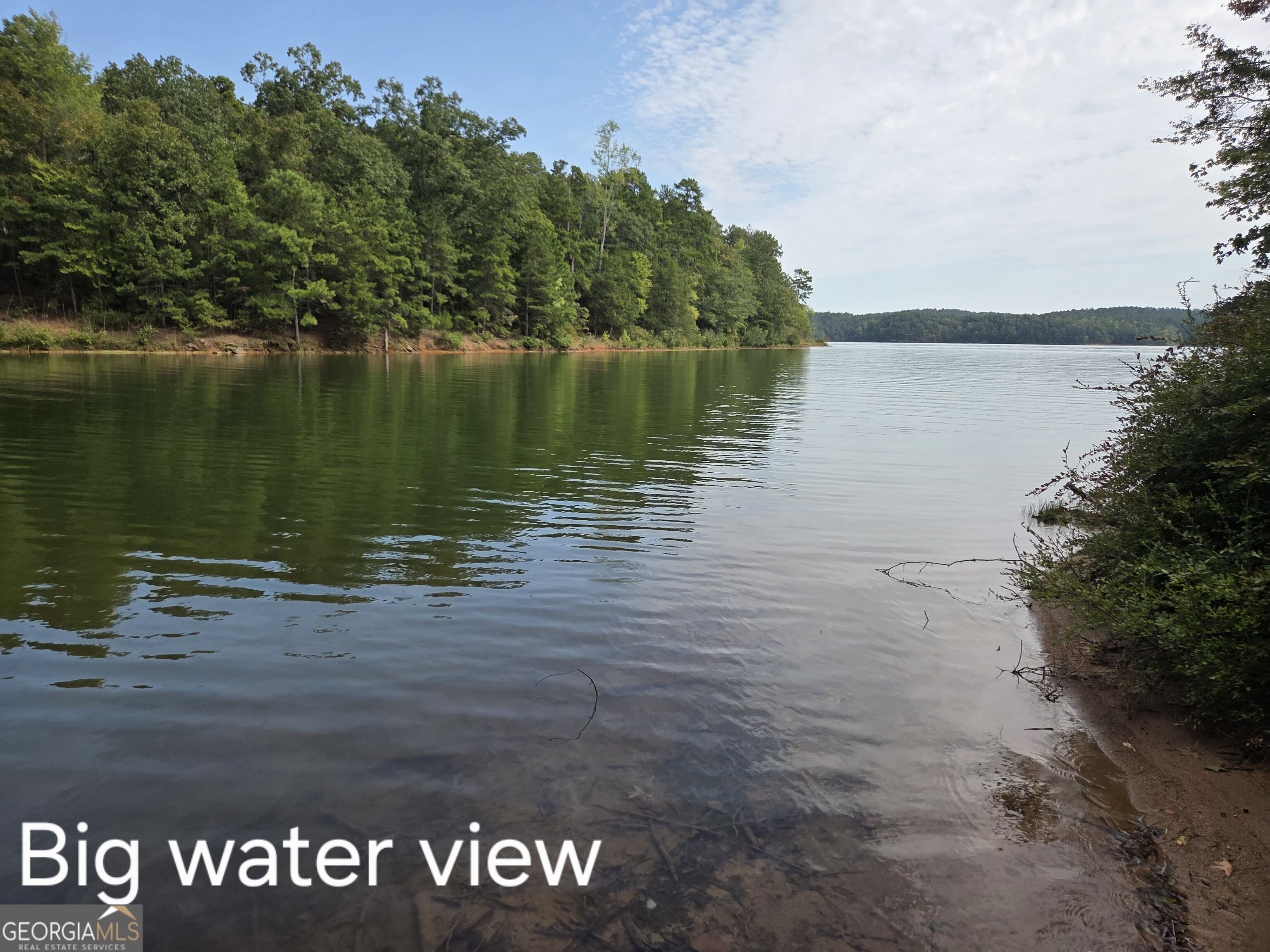 0 Bluff Road, Unit LOT 21 Elberton, GA 30635 - Photo 14 of 18 Gallery Image 14