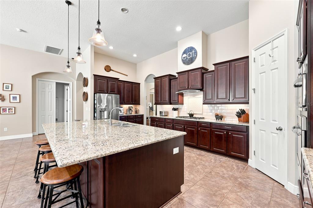 15512 Mossy Ridge Lane Lithia, FL 33547 - Photo 14 of 59
