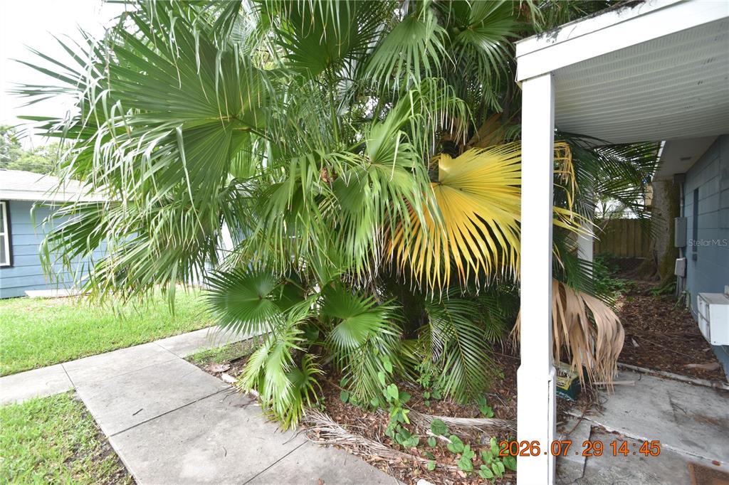 419 Stremma Road Largo, FL 33770 - Photo 24 of 24 Gallery Image 24