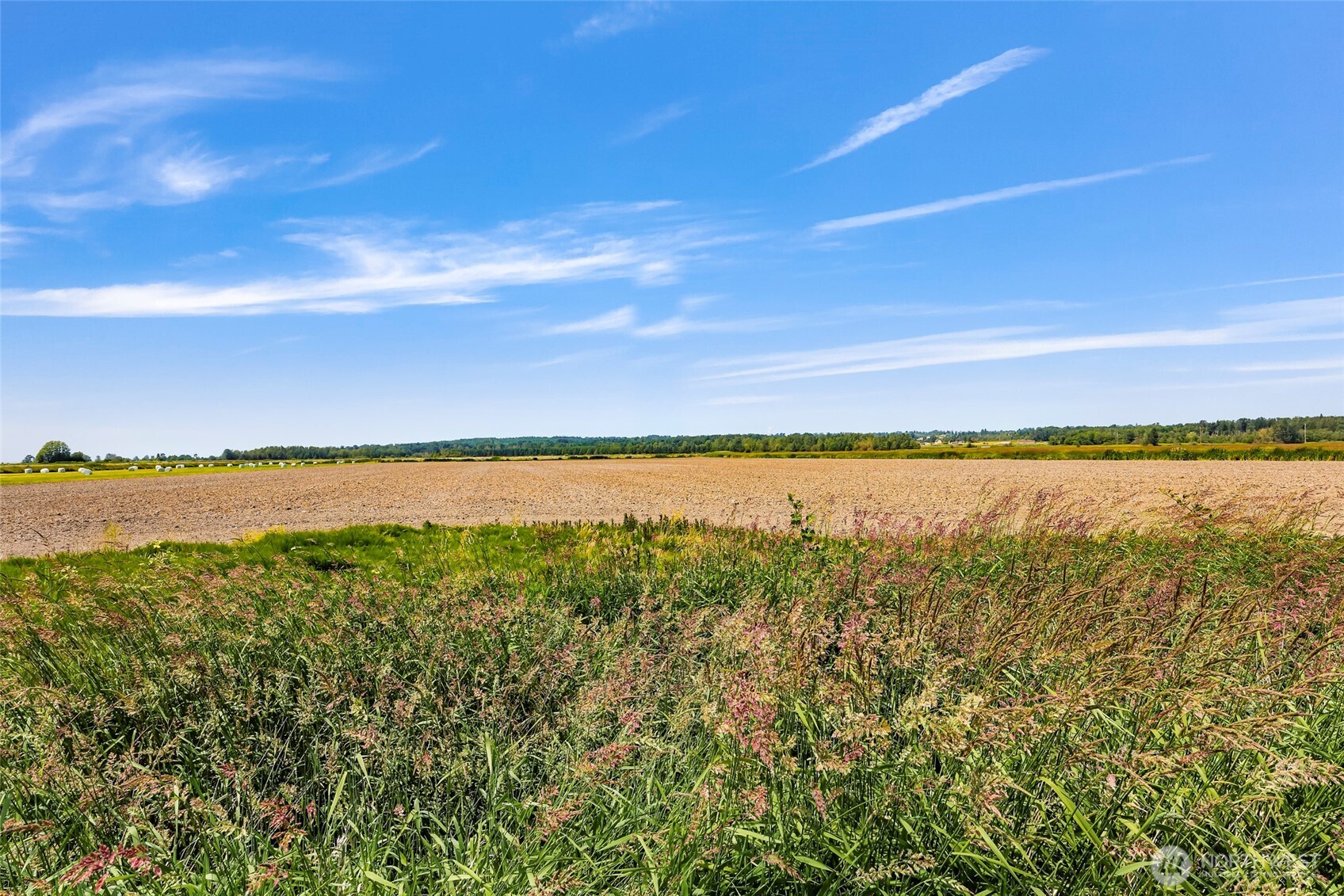 4540 Haxton Way Ferndale, WA 98248 - Photo 6 of 16