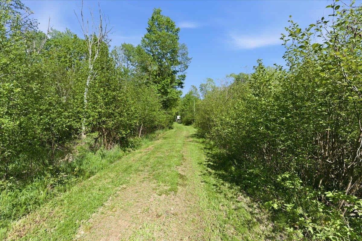 N1563 Midway Merrill, WI 54452 - Photo 69 of 90