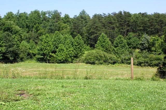 829 Monty Road Boones Mill, VA 24065 - Photo 21 of 25 Open Field - Perfect for Horses