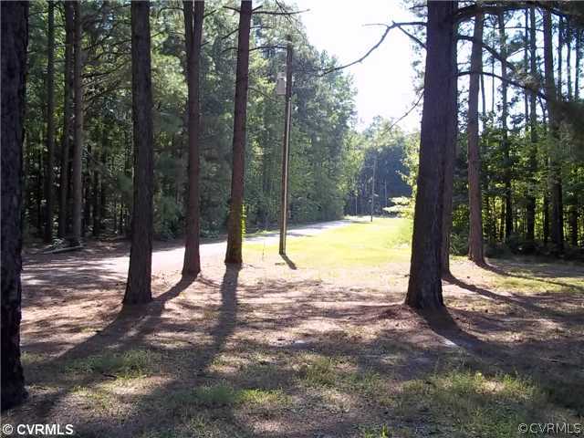 17500 Lebanon Road Spring Grove, VA 23881 - Photo 2 of 8 Land/Lot