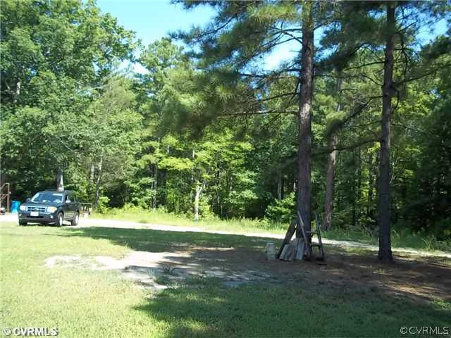17500 Lebanon Road Spring Grove, VA 23881 - Photo 4 of 8 Land/Lot