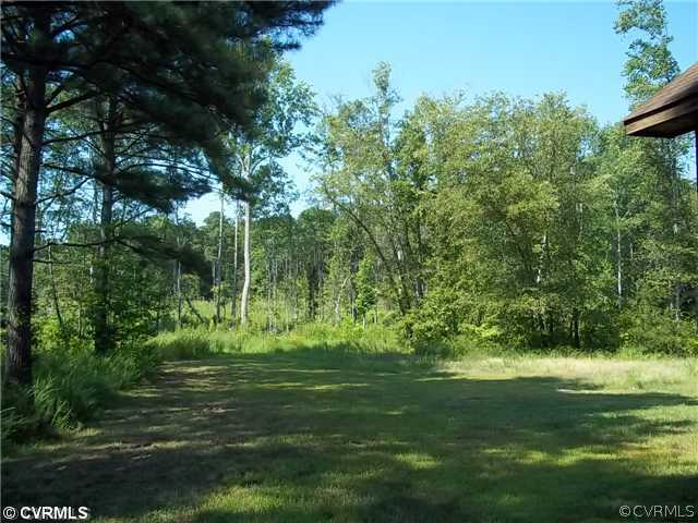 17500 Lebanon Road Spring Grove, VA 23881 - Photo 6 of 8 Land/Lot