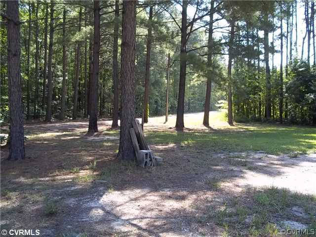 17500 Lebanon Road Spring Grove, VA 23881 - Photo 7 of 8 Land/Lot
