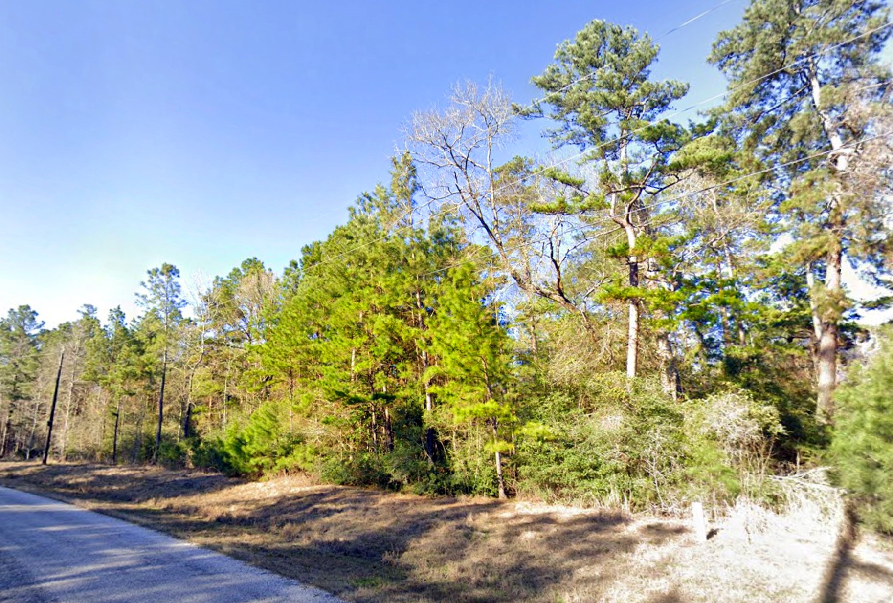 3-b-15-20 Fire Sky Road Huntsville, TX 77340 - Photo 6 of 24 a backyard of a house with lots of green space