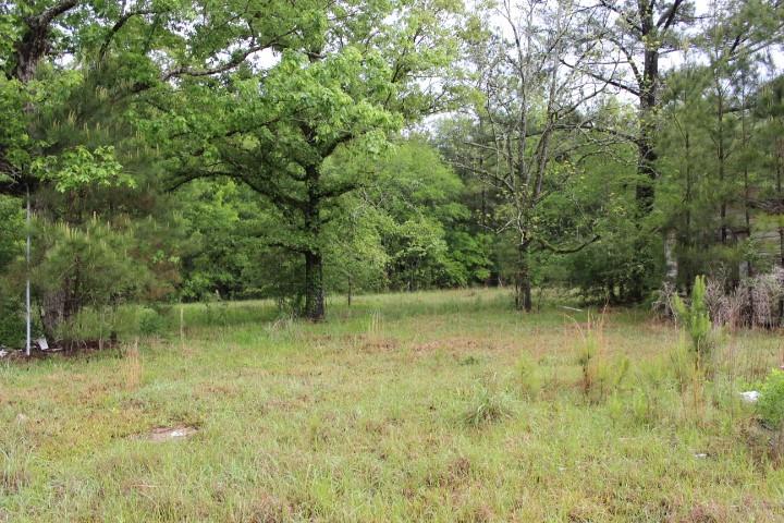 0 Lot 2 Purvis Road Independence, LA 70443 - Photo 1 of 4 Gallery Image 1