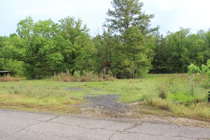 0 Lot 2 Purvis Road Independence, LA 70443 - Photo 2 of 4 Gallery Image 2