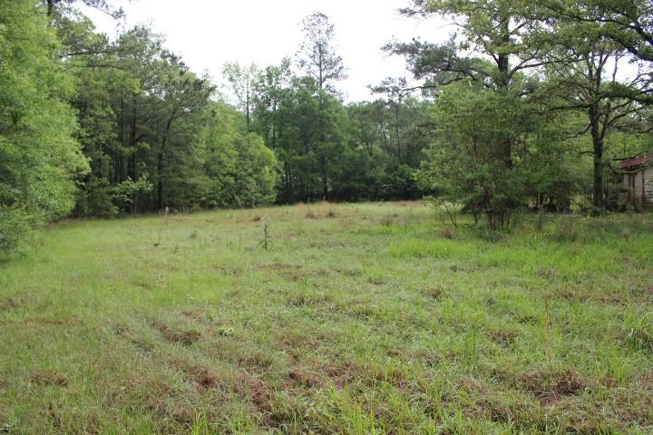 0 Lot 2 Purvis Road Independence, LA 70443 - Photo 3 of 4 Gallery Image 3