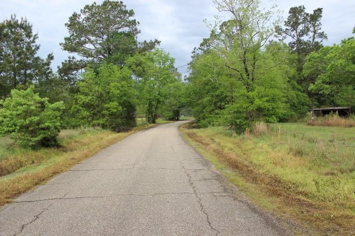 0 Lot 2 Purvis Road Independence, LA 70443 - Photo 4 of 4 Gallery Image 4