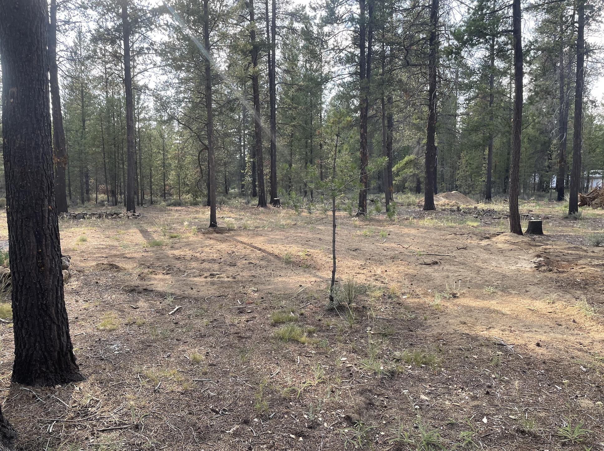 16140 Dyke Road La Pine, OR 97739 - Photo 9 of 15 Screen Shot 2021-07-28 at 6.32.16 PM