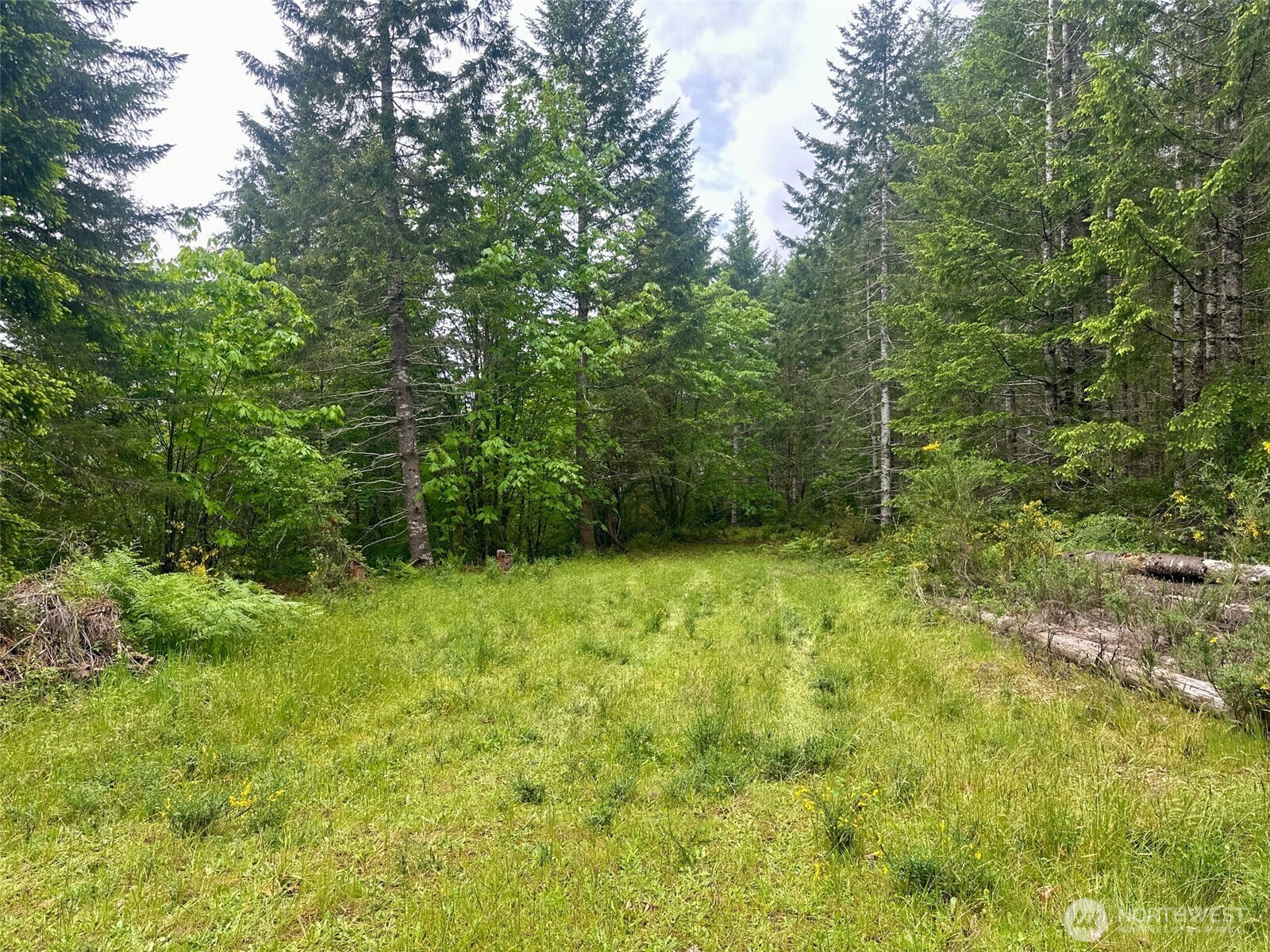 150 North Sunnyside Road Shelton, WA 98584 - Photo 15 of 22