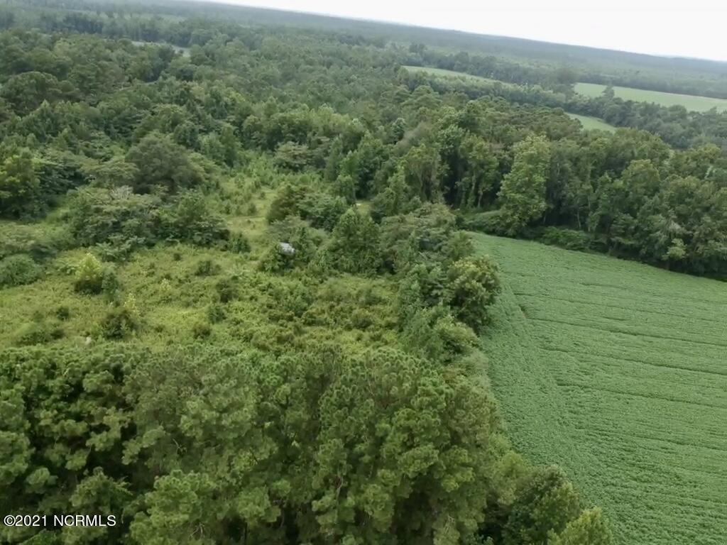 1240 Haw Branch Road Beulaville, NC 28518 - Photo 3 of 22 20210825_203127756_iOS