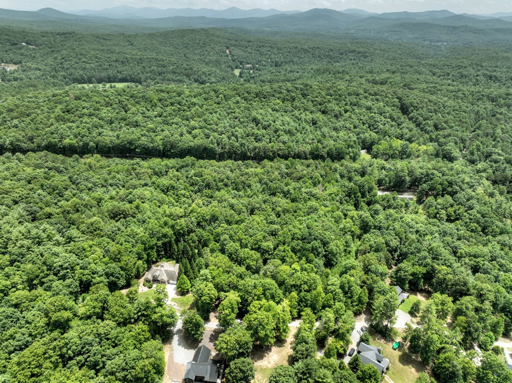 Lt C Dillons Ridge Road Morganton, GA 30560 - Photo 18 of 18 Gallery Image 18