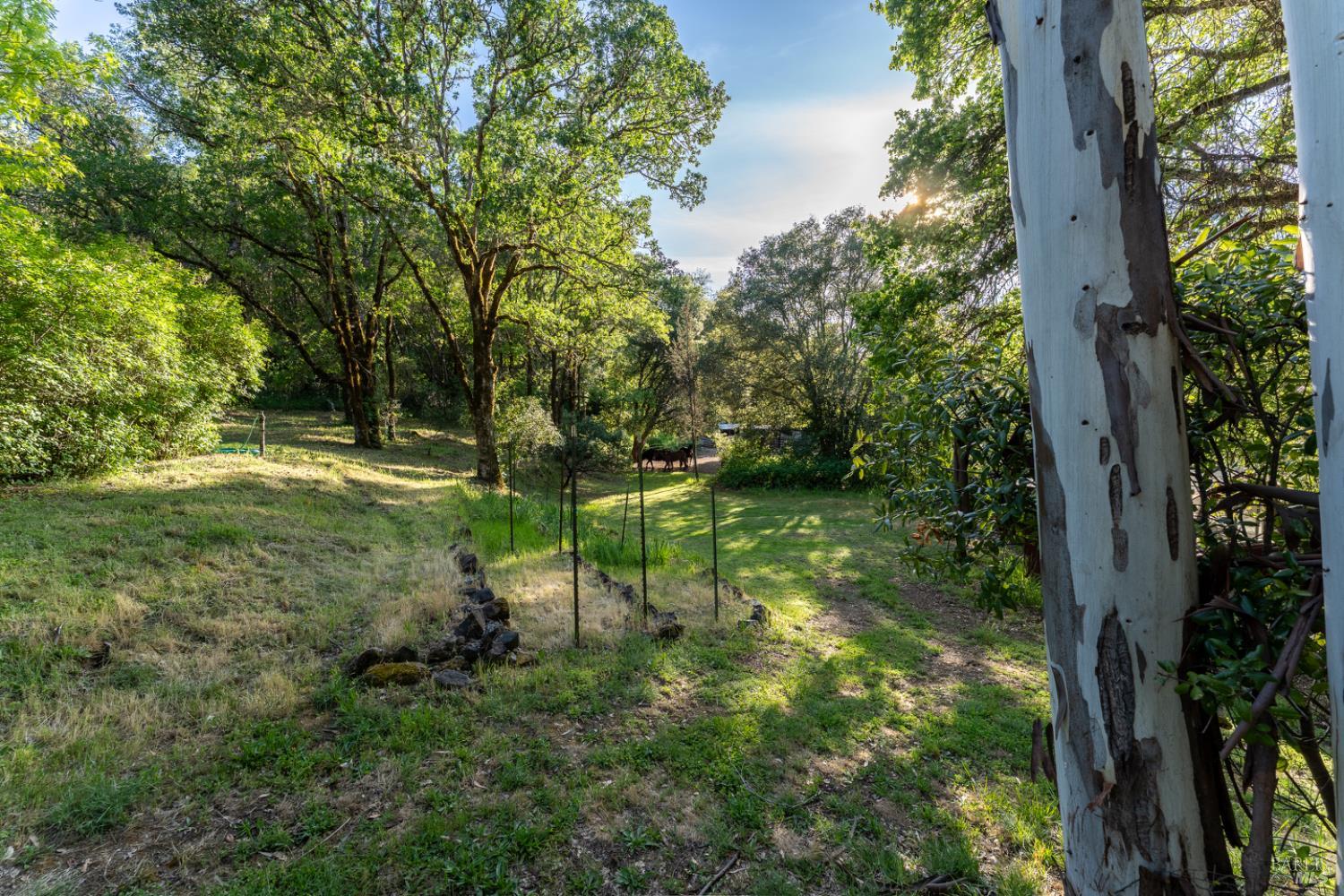 1701 Rd B Redwood Valley, CA 95470 - Photo 26 of 35