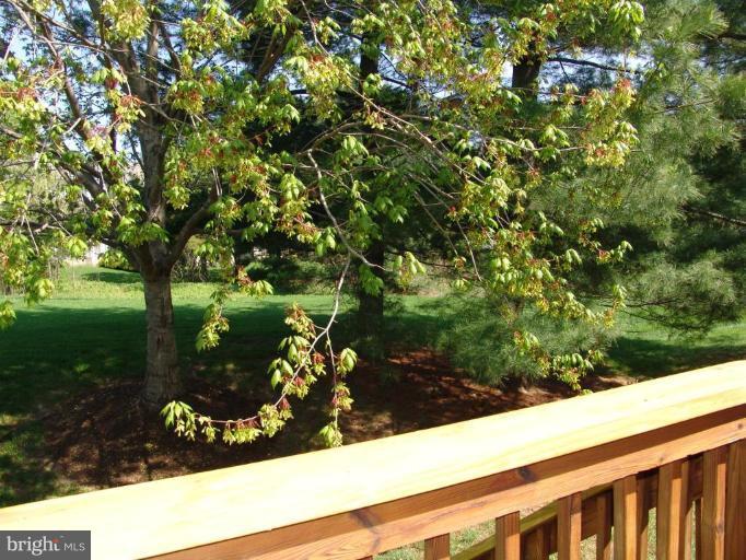 5037 Columbia Road, Unit 4 Columbia, MD 21044 - Photo 20 of 21 Deck - View from