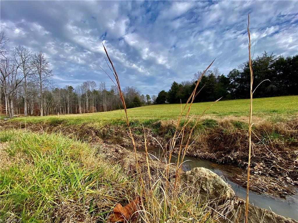 0 New Salem Road Randleman, NC 27317 - Photo 1 of 14 Gallery Image 1