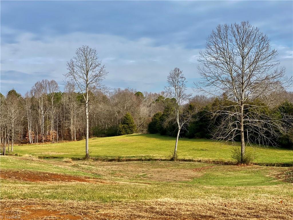 0 New Salem Road Randleman, NC 27317 - Photo 14 of 14 Gallery Image 14