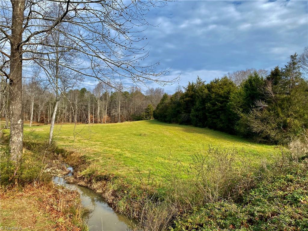 0 New Salem Road Randleman, NC 27317 - Photo 2 of 14 Gallery Image 2