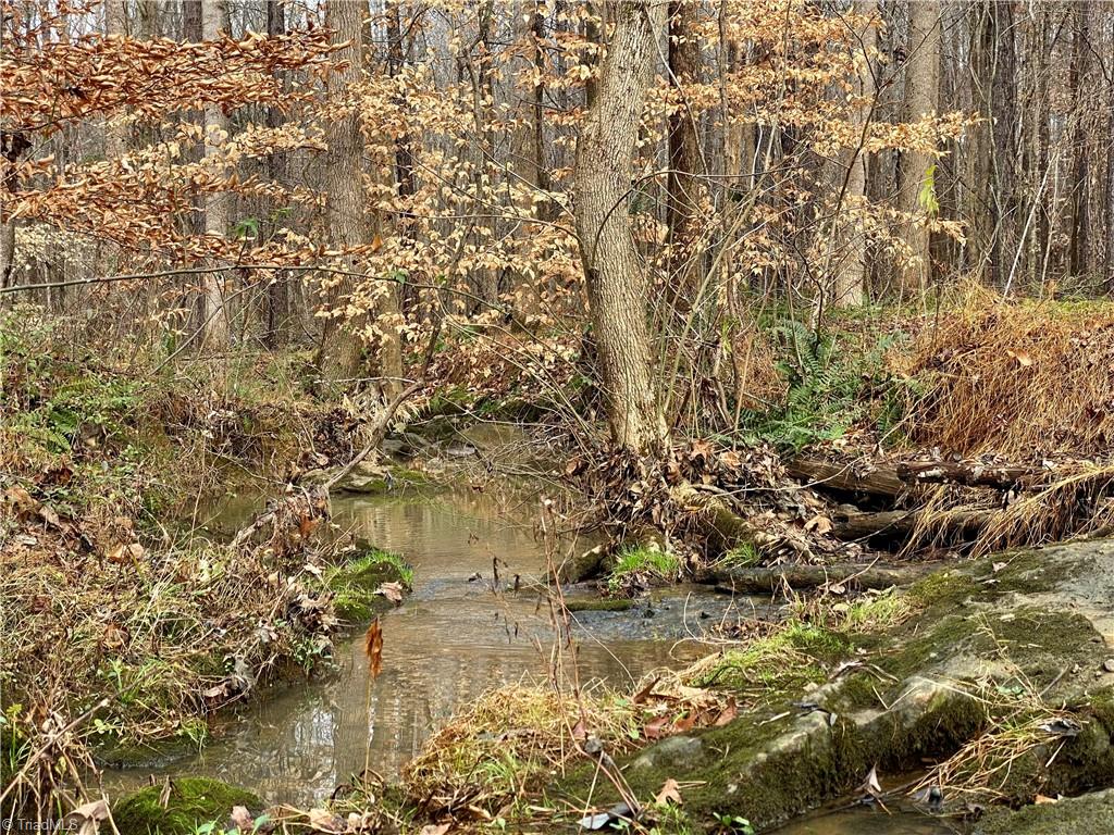 0 New Salem Road Randleman, NC 27317 - Photo 3 of 14 Gallery Image 3