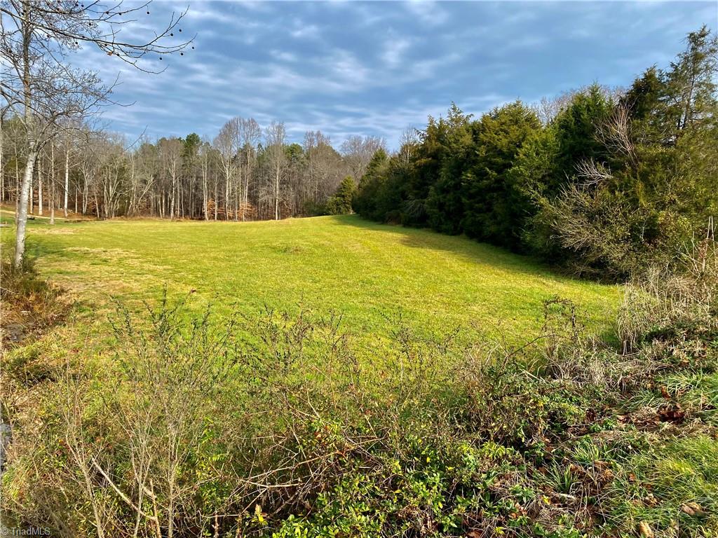 0 New Salem Road Randleman, NC 27317 - Photo 4 of 14 Gallery Image 4
