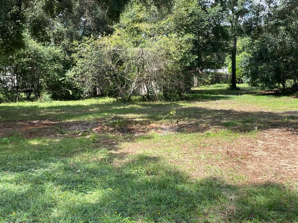 1255 Spring Lake Road Fruitland Park, FL 34731 - Photo 1 of 1 Gallery Image 1