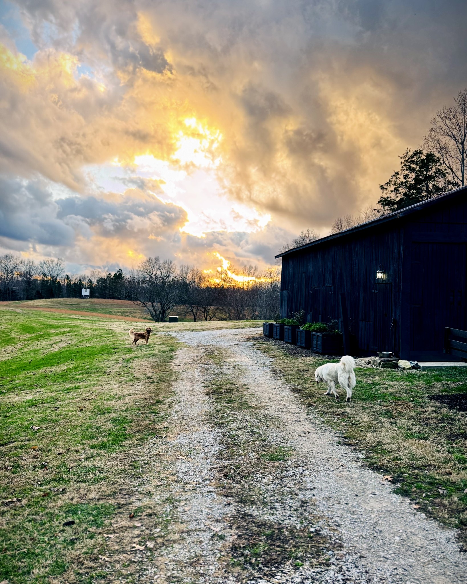 6045 Green Road Bloomington Springs, TN 38545 - Photo 64 of 65