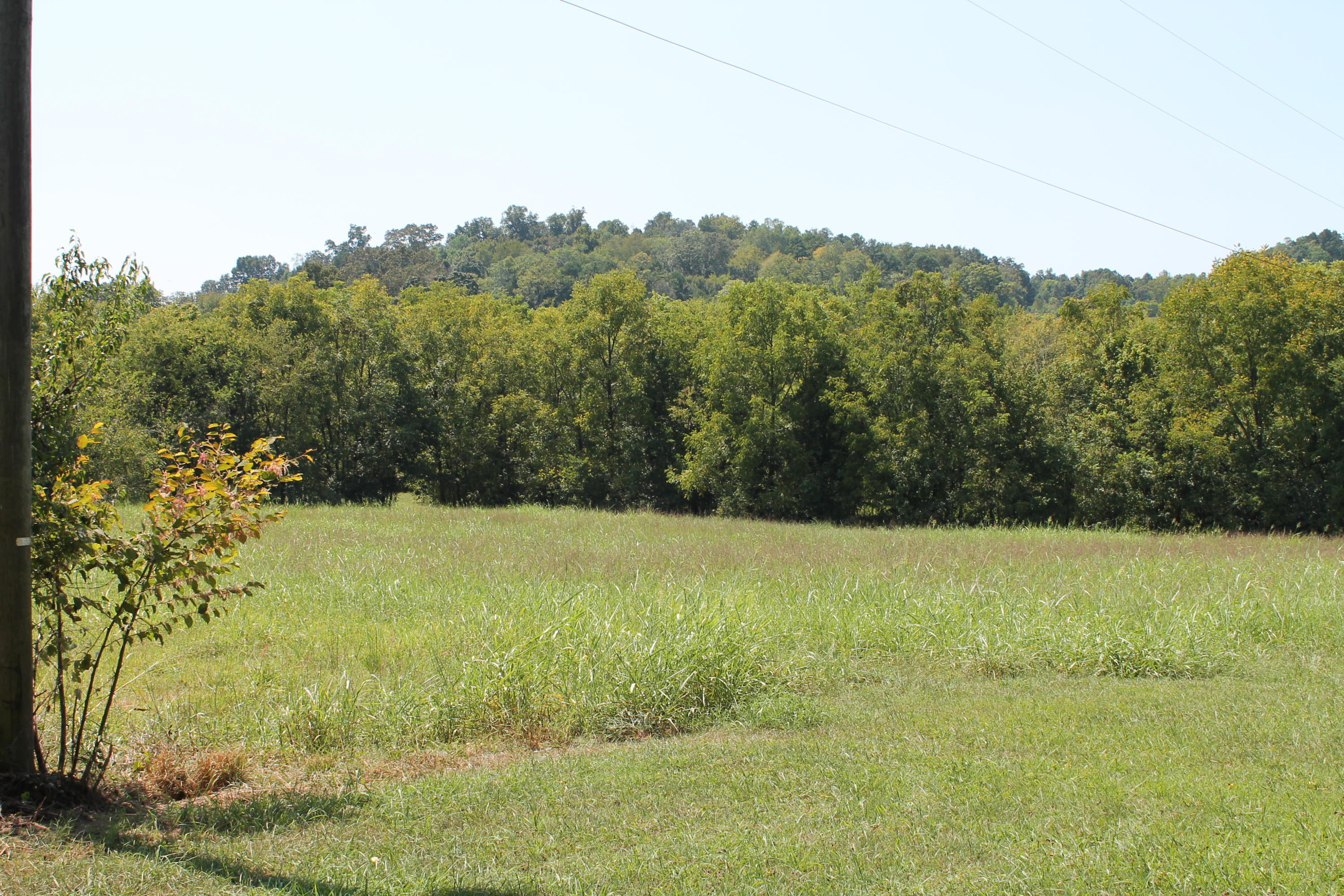232 Loudon Road Philadelphia, TN 37846 - Photo 4 of 16 IMG_7573
