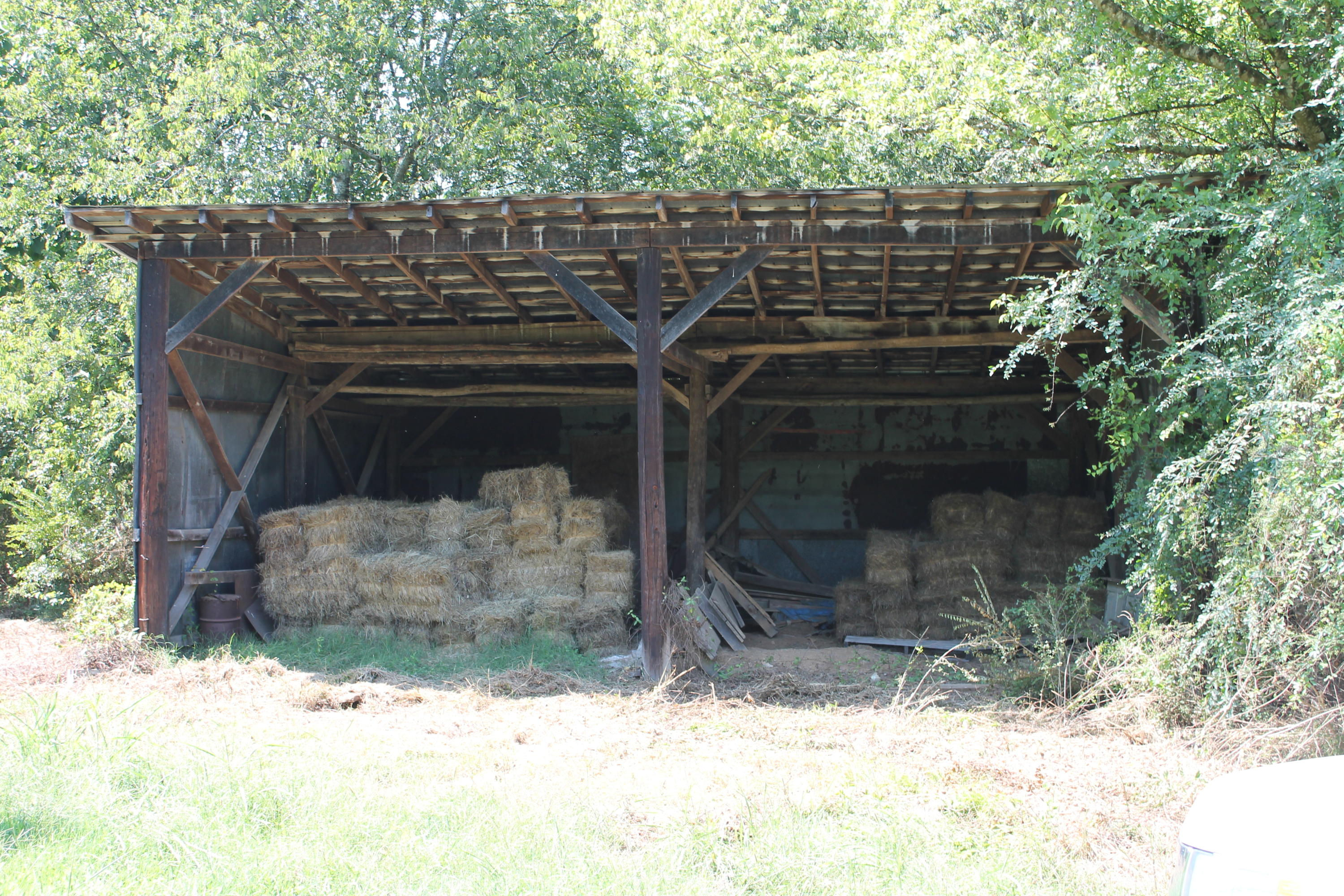 232 Loudon Road Philadelphia, TN 37846 - Photo 8 of 16 IMG_7579