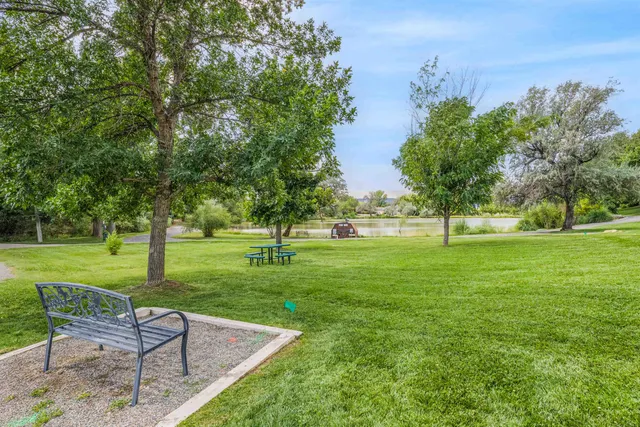 a view of a park with trees and grass