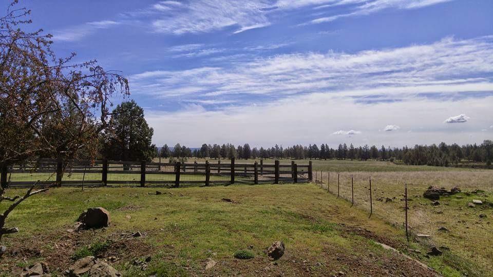 46586 Gerber Road Bonanza, OR 97623 - Photo 11 of 25 Additional Photo