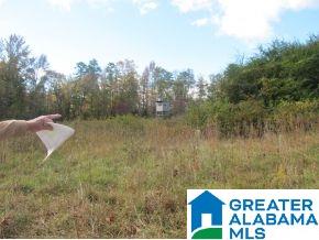 9231 Mountain High Road Warrior, AL 35180 - Photo 5 of 7