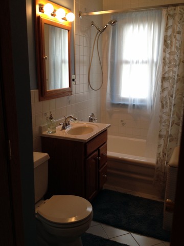 10519 Princess Avenue Chicago Ridge, IL 60415 - Photo 10 of 24