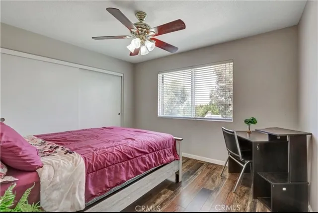 a view of a park with plants and trees