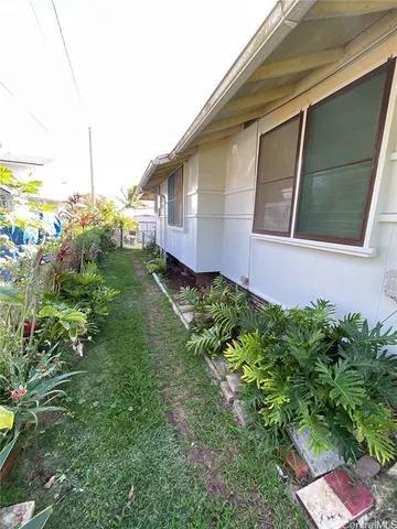 a view of a backyard with plants