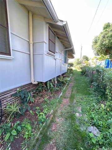 a view of a backyard with plants