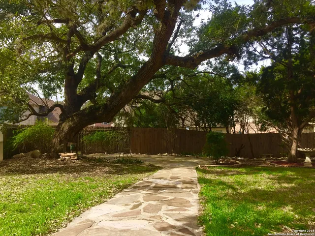 $2,595 | 1203 El Riachuelo, San Antonio, TX 78258